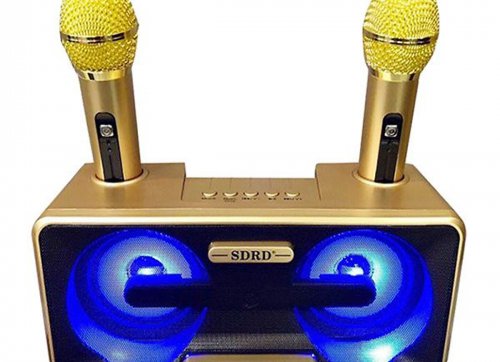 Loa cầm tay karaoke mini SDRD SD-301